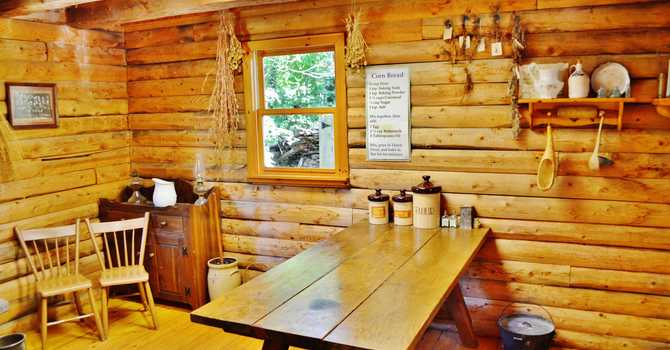 Cabin Fever… just can’t wait for Spring!  image