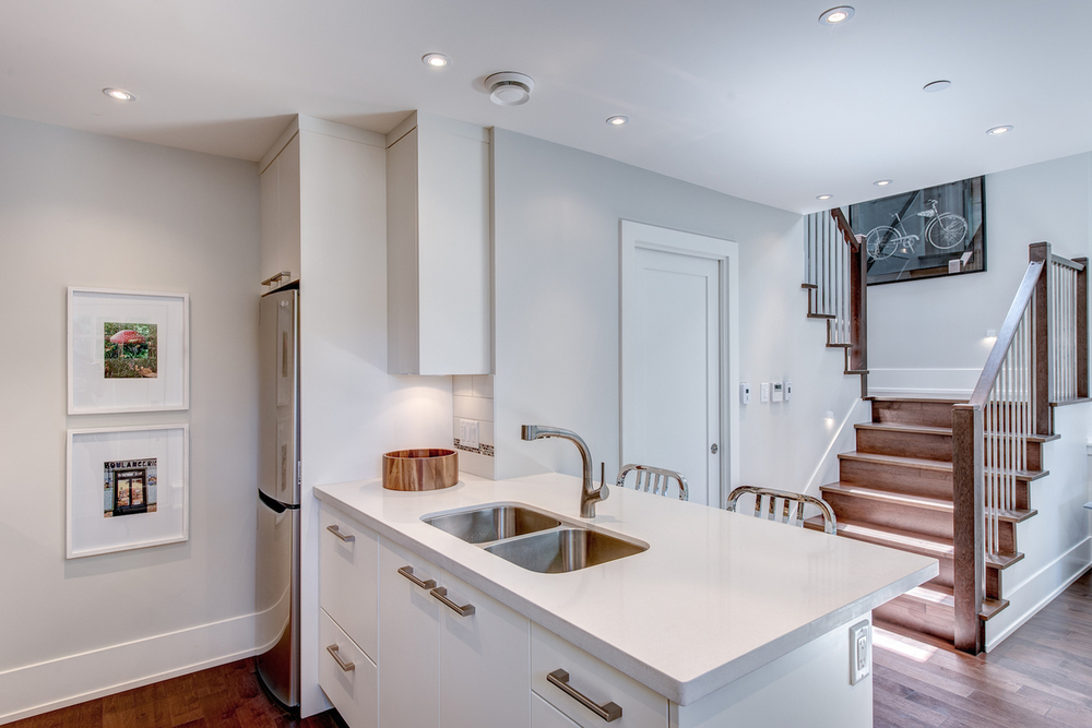 Douglas Park Laneway Home