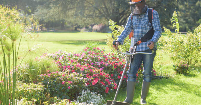 Landscape Maintenance
