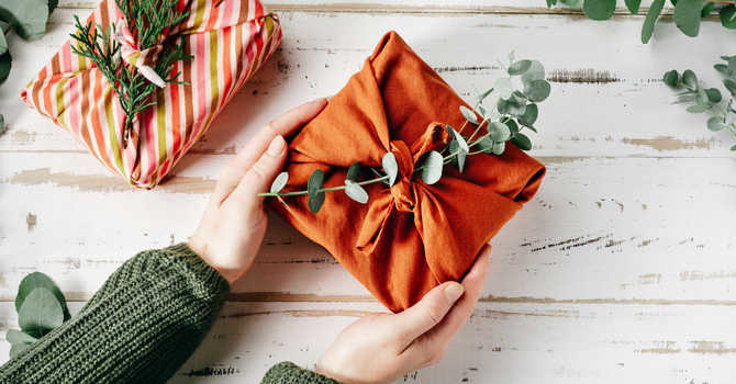TWELVE Green Gift Ideas  image