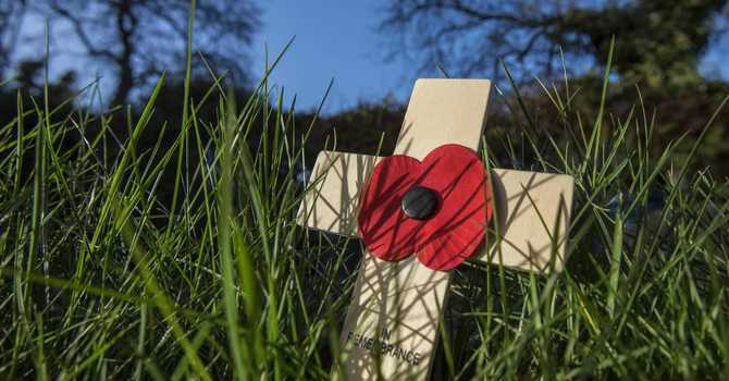 Remembrance Day… a baseball game and a special souvenir  image
