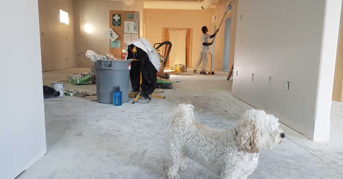 Tips to Survive a Home Renovation image