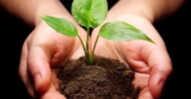 MAKE IT A GREEN MOVE! image