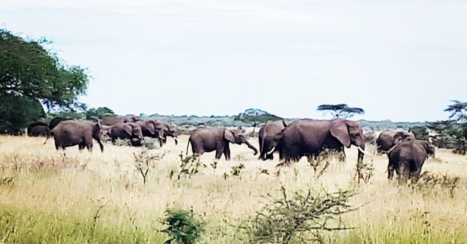 Yesterday's safari was amazing!