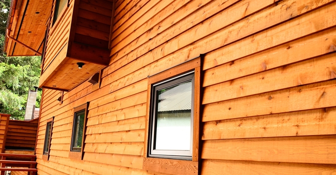 Cedar