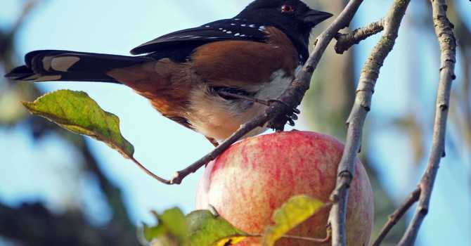 And the survey says... image