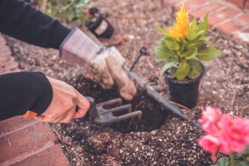 Gardening Tips to Protect Your Spine