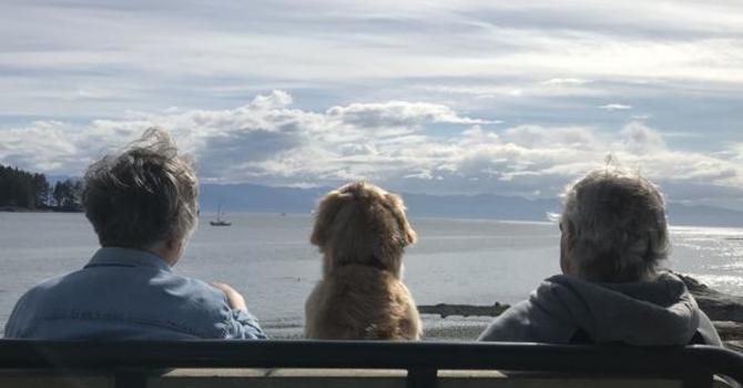 REAL LIFE, CAPTURED image