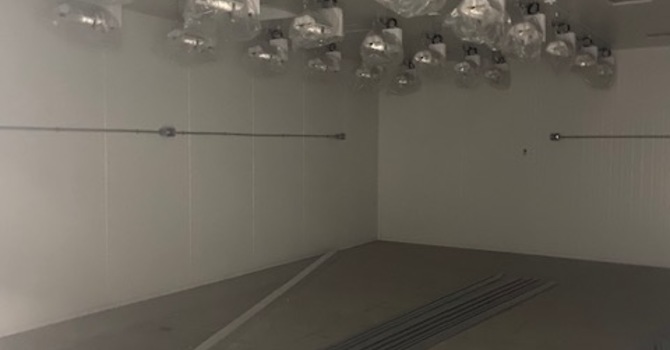 North York Grow