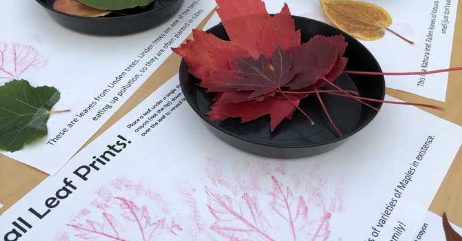 Thanksgiving Leaf Prints