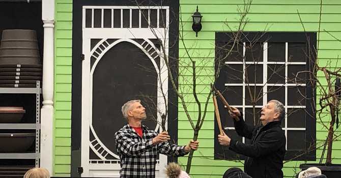 Pruning Deciduous Fruit, Flowering & Shade Trees