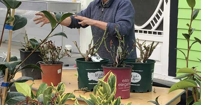 Pruning: The Abridged Version