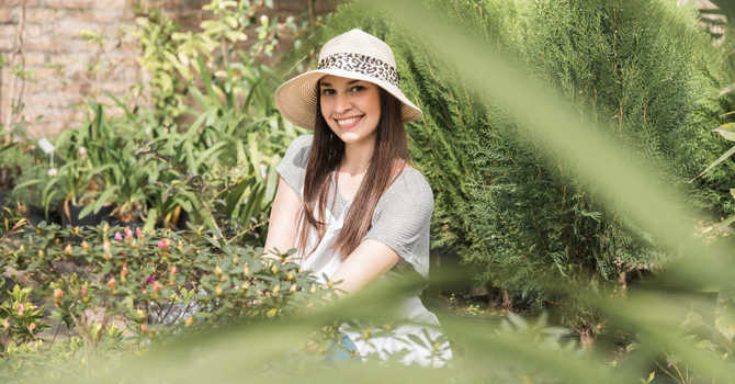 Easing Plant Care Worries for New Generations of Gardeners image