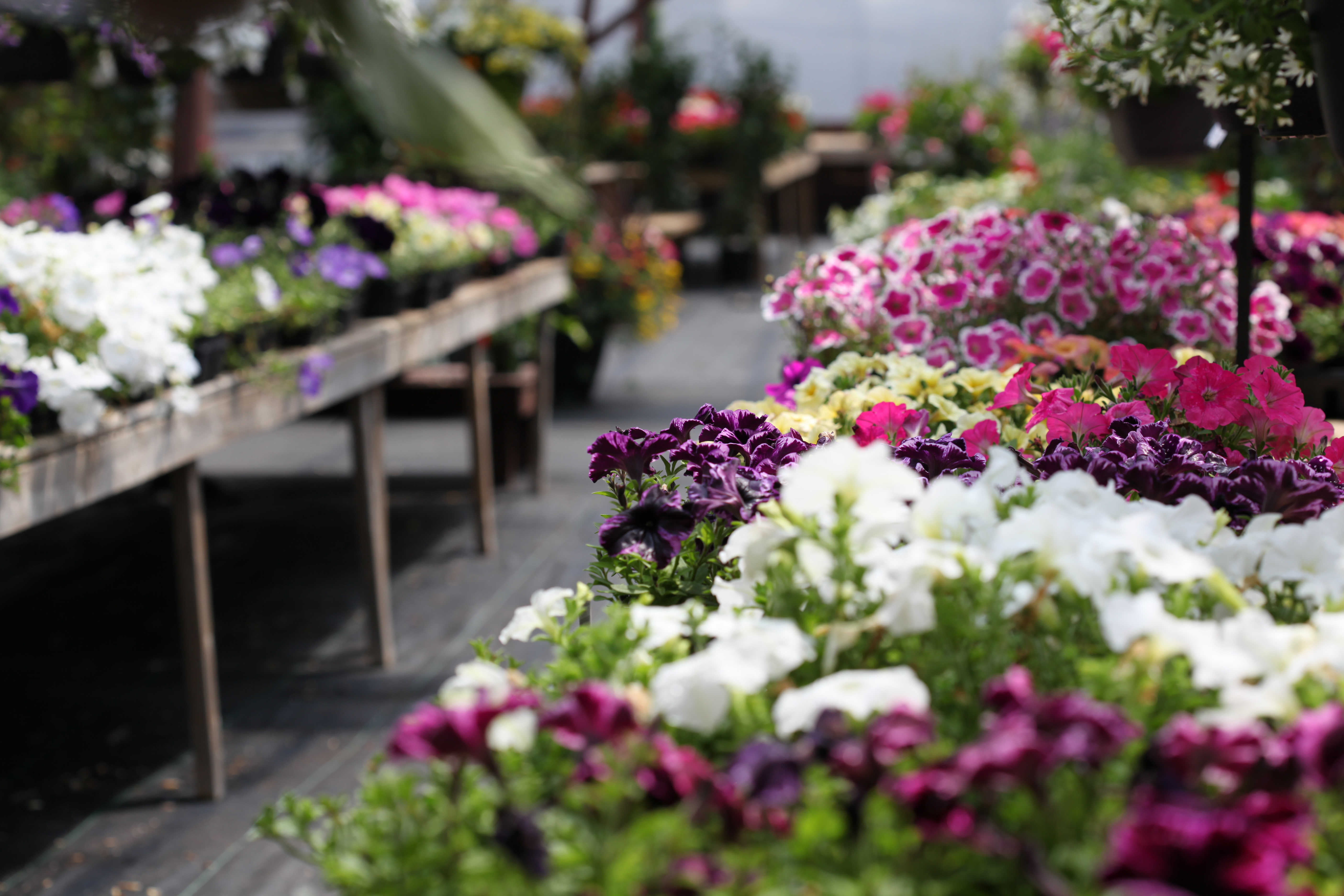 Garden Centre