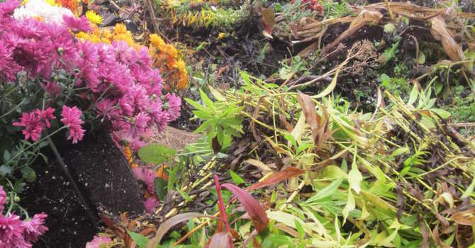 Bokashi Fermenting/Composting