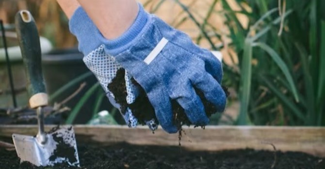 Have You Topped Up Your Beds Lately?  image