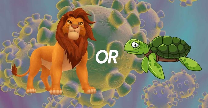 Be Lions In A Time Of Turtles  image