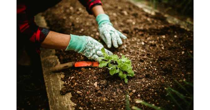 Getting Your Garden Ready for Spring image